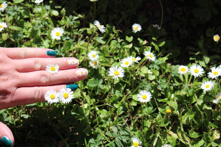 NOTD Daisies