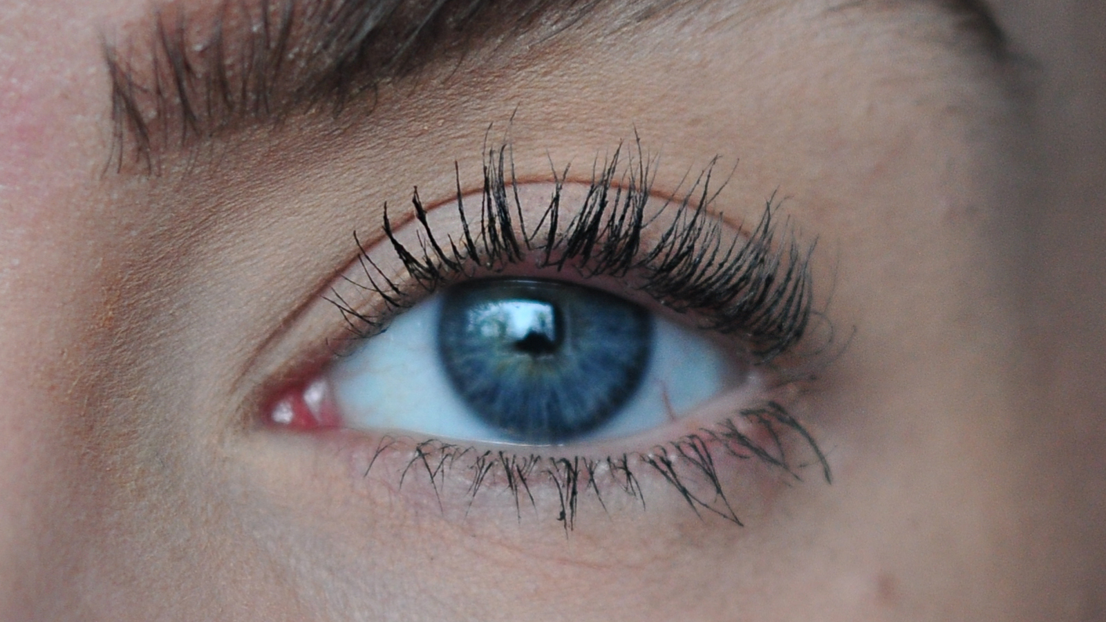 Lash Lift