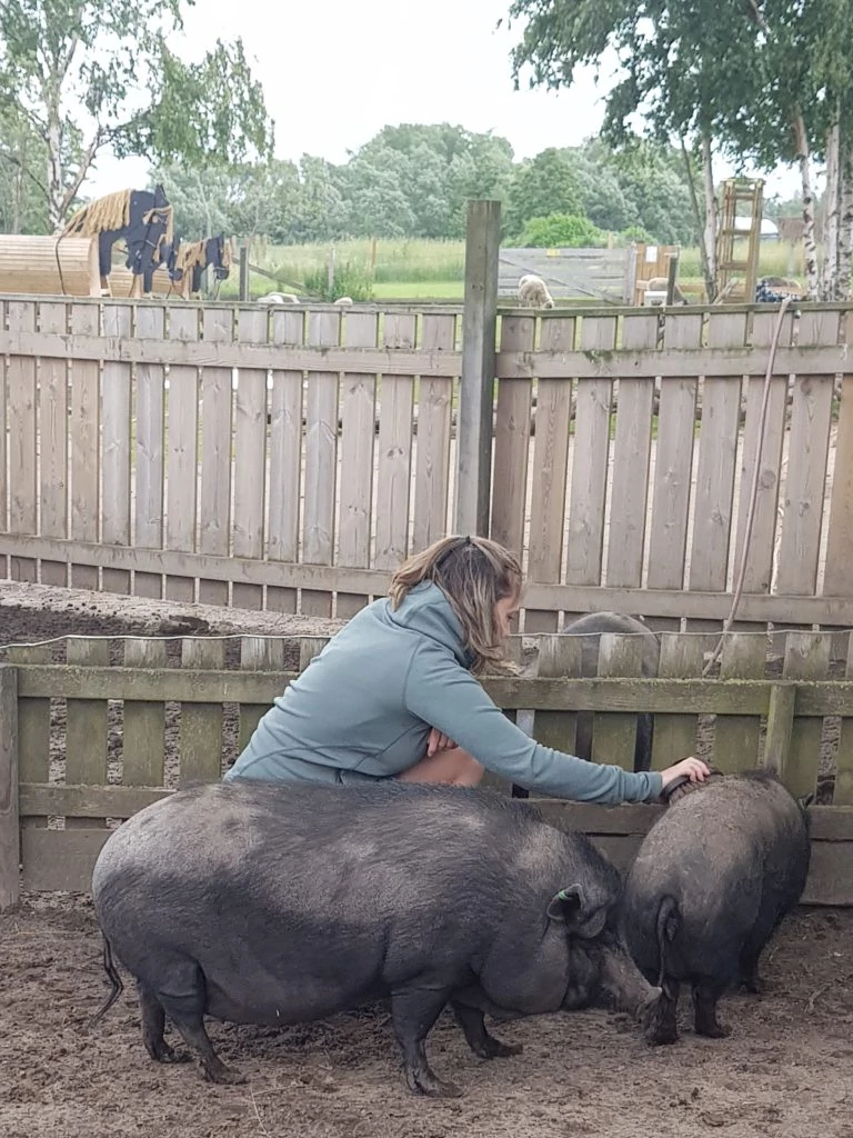 Lyxig tältsemester med blåst och regn Daisy Beauty Lyxig tältsemester med blåst och regn Daisy Beauty