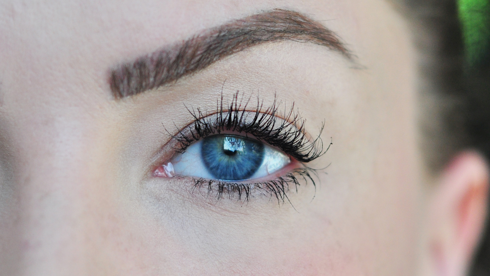 RapidLash