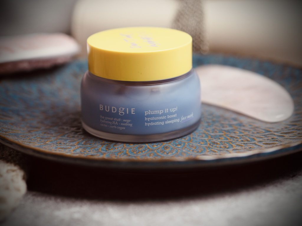 Budgie Plump it up overnight face mask