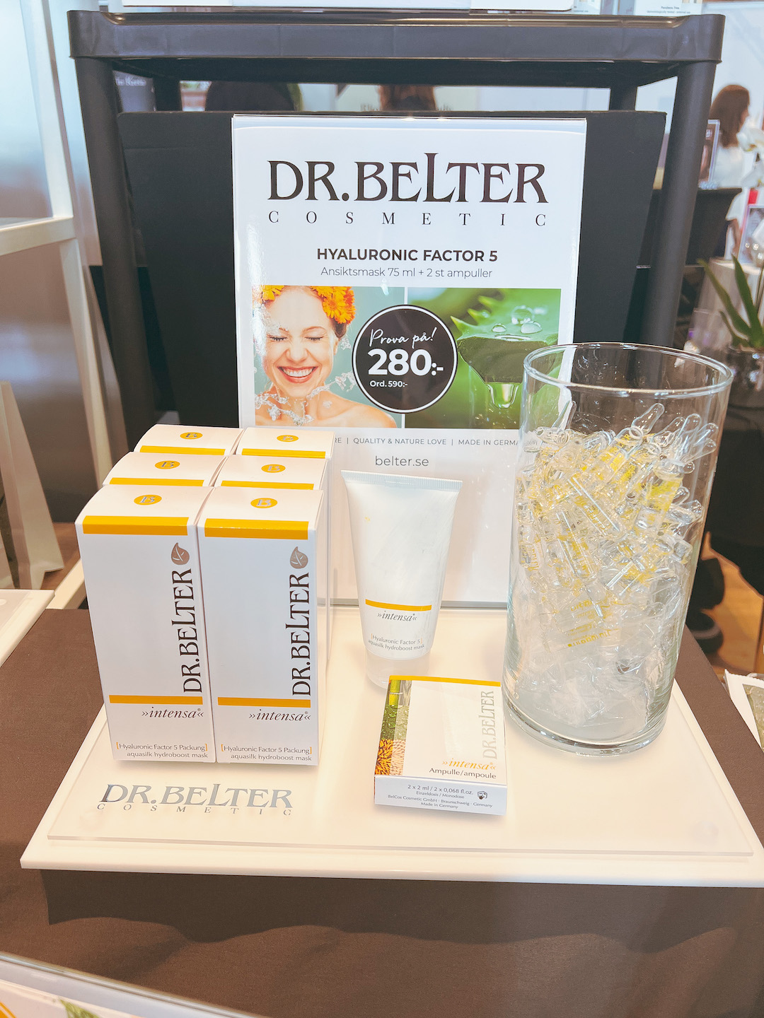 Dr Belter