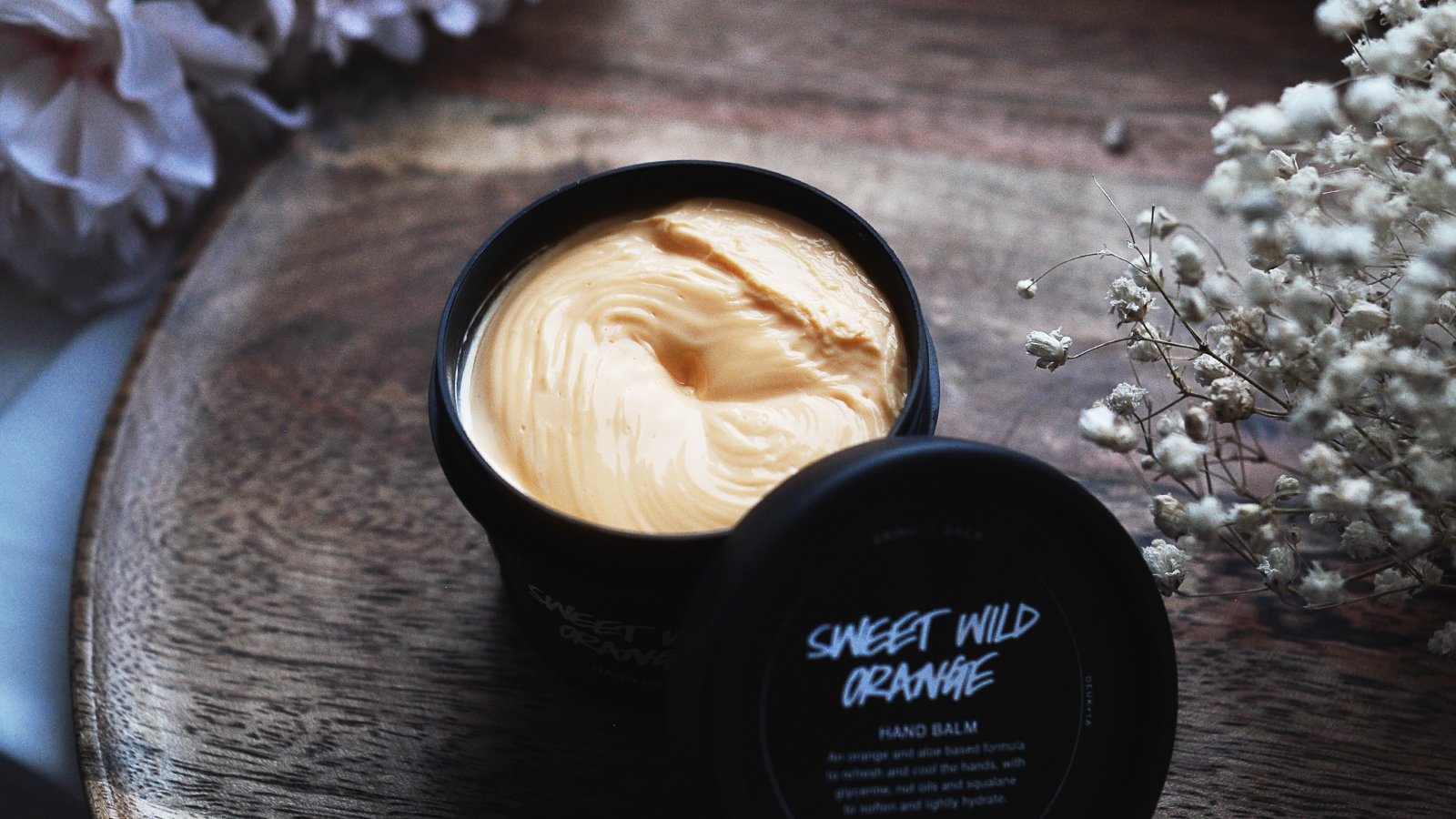 Sweet Wild Orange