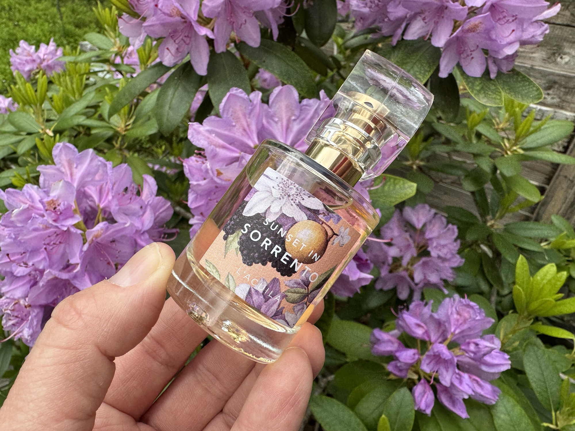 L'Acuila Sunset in Sorrento EdT